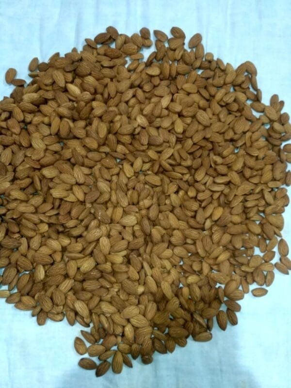 Kashmiri Almond Kernels (Badam Giri) 1 Kg - Image 5