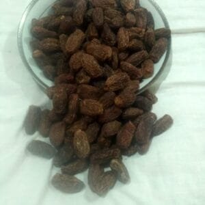 Special Dates