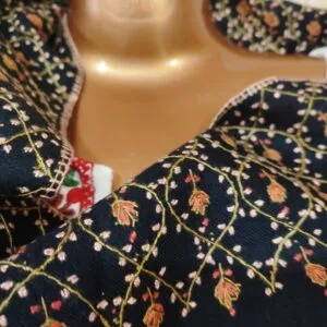 Pashmina Shawl Black, Full Jalidaar Embroidery
