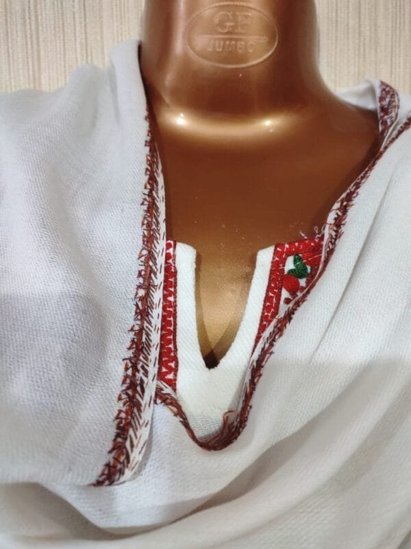 Pashmina Kashmiri Shawl in Basic Pashmina Colour, Thick Border Embroidery - Image 4