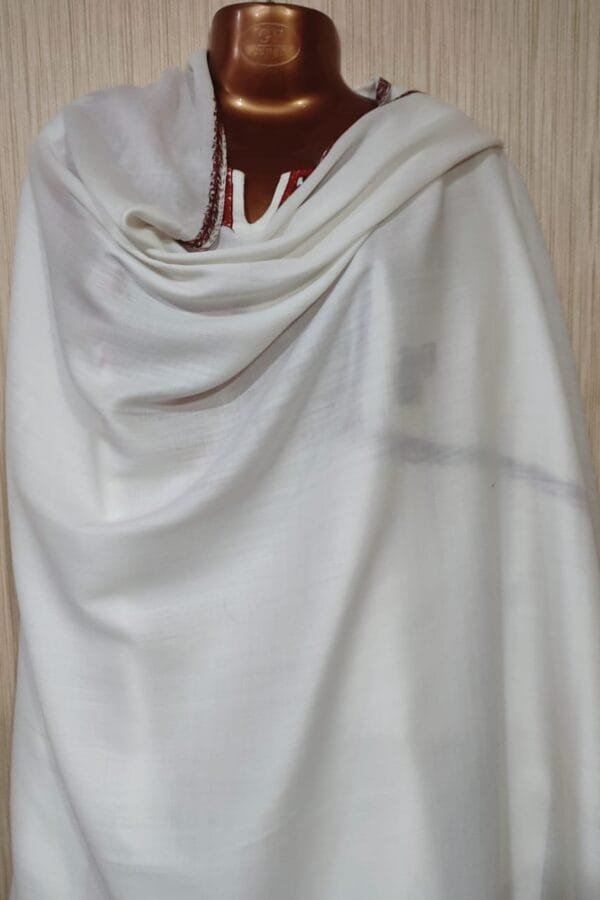 Pashmina Kashmiri Shawl in Basic Pashmina Colour, Thick Border Embroidery - Image 7