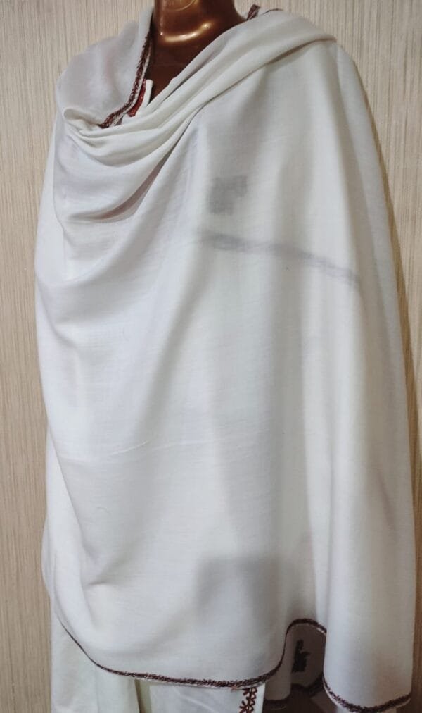 Pashmina Kashmiri Shawl in Basic Pashmina Colour, Thick Border Embroidery - Image 5